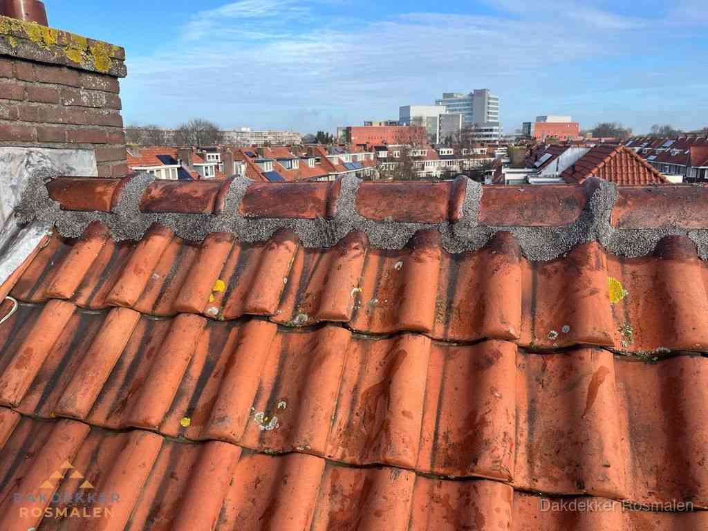 Rosmalen Daken Renoveren Rosmalen Daken Renoveren